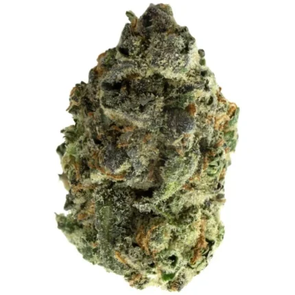 VIP New York Sour Diesel Indoor